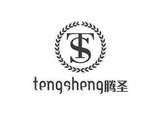 潘樂的騰圣有機(jī)玻璃工藝制品logo設(shè)計