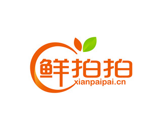 朱兵的鮮拍拍生鮮網購平臺標志logo設計