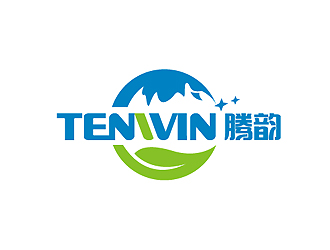 秦曉東的Tenwin 騰韻logo設(shè)計