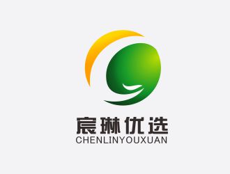 胡紅志的宸琳優(yōu)選logo設(shè)計